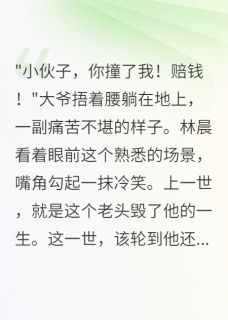 主角林晨王建华的小说作者爱吃罐头的糖糖-随缘阅读网