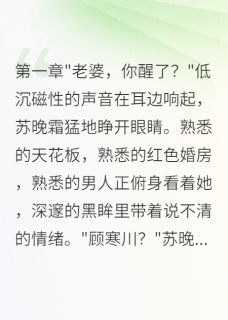 重生新婚夜我让偏执总裁倾家荡产全集小说_苏晚霜顾寒川完结版阅读