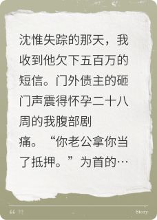 主人公沈惟章云歧小说债主他追上门在线全文阅读