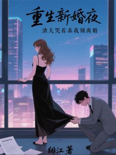 陆子宸林婉沈清漪主角小说重生新婚夜,渣夫哭着求我别离婚抖音文免费阅读全文-随缘阅读网