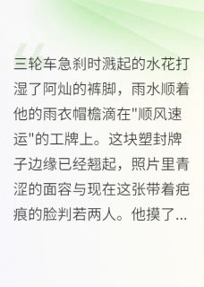 重生之我在西安送快递小说(连载文)-阿灿小娜无广告阅读