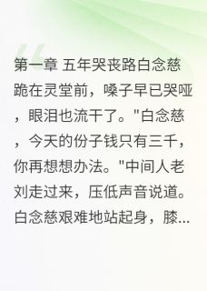 南风叙晚的小说五年哭丧路，换来儿子一句滚主角是白念慈白晨曦