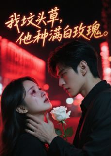 林墨言诺诺顾晏辰结局是什么 林墨言诺诺顾晏辰免费阅读全文