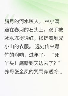 独家冰河暖阳全本大结局小说阅读