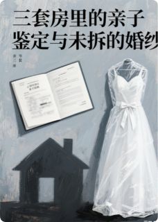 三套房里的亲子鉴定与未拆的婚纱全本小说（三套房里的亲子鉴定与未拆的婚纱）全文阅读