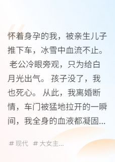 私藏读物他护着白月光，让儿子将我推下车李峰赵敏陆岚完结版免费阅读