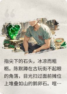 全章节小说赌石？赌命！云舒听风最新阅读-随缘阅读网