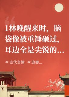 穿越后，竟遇前夫哥也穿成了王爷快手热推林晚顾宴琛沈婉柔免费阅读-随缘阅读网