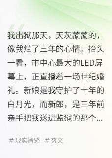 替白月光顶罪，出狱当天她嫁仇人（苏晚晴秦浩南陈默）精彩小说目录阅读