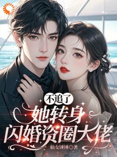 不追了，她转身闪婚资圈大佬小说-江映晚厉承御全篇阅读
