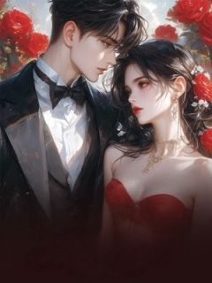 抖音爆款废墟里的星图谢子诚林倾城无广告阅读