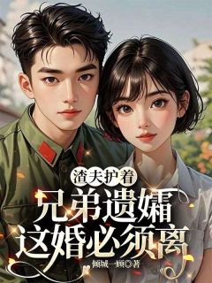 主人公沈明月陆一川小说渣夫护着兄弟遗孀，这婚必须离在线全文阅读