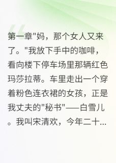 同一间房的商务出差小说的书名是什么