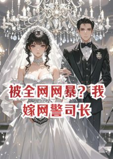 抖音小说被全网网暴?我嫁网警司长,主角苏晚晴陆沉舟最后结局小说全文免费-随缘阅读网