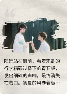 好书推荐晴选隔世远陆远虞晴林晚宁全文在线阅读