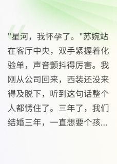 好文热推小说妻子假怀初恋孩子测试我后悔疯主角王芳苏婉陈浩全文在线阅读