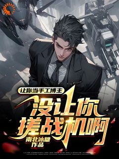 全本资源在线阅读手艺人，但是也是个军火商谢林李延