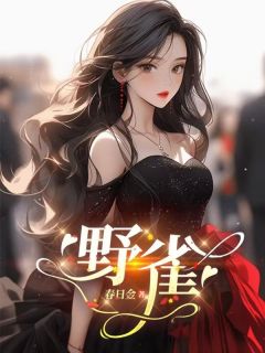 野雀小说(完结)-桑晚许连城章节阅读