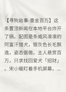 知乎小说我只是替身主角是宋小暖陆沉舟全文阅读