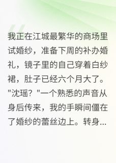 免费完结小说怀孕六月遇前任，我当场拒绝复合江晏城温言无弹窗免费阅读