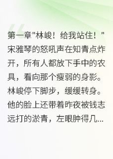 情深未央的小说重回76年我拒绝首长女儿选择知青主角是林峻宋雅琴