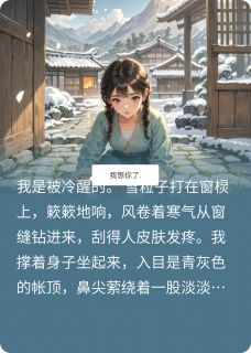 柳如烟沈砚之全本章节在线阅读大结局
