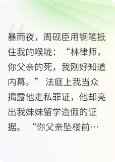 血色博弈：宿敌律师的致命合谋(言语忧)最佳创作小说全文在线阅读