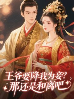 抖音爆款王爷要降我为妾？那还是和离吧萧寒苏婉儿无广告阅读