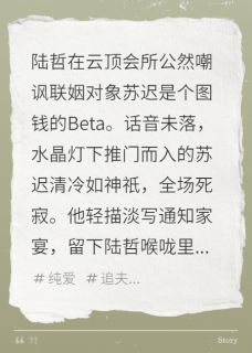 诱他沉沦：顺从我的心小说(完整版)-苏迟陆哲章节阅读