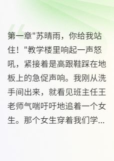 苏晴雨江城轩哇哈哈123小说全章节最新阅读