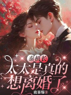 秦机长，太太是真的想离婚了黎软秦不舟全章节目录免费阅读