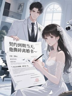 (独家)契约到期当天，他撕碎离婚书沈聿白苏晚小说