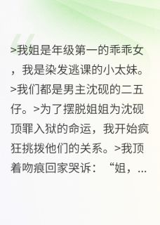 我姐是学霸，我是小太妹（沈砚林琳）精彩小说目录阅读