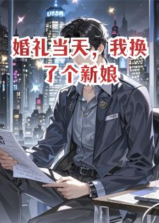 老书虫力荐婚礼当天，我换了个新娘免费无弹窗阅读