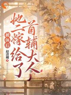 徐青君宋瑛小说抖音热文被休后，她二嫁给了首辅大人完结版