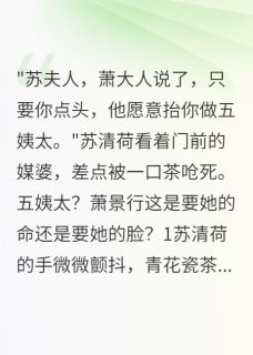 白月光守寡后他来纳妾了小说的书名是什么