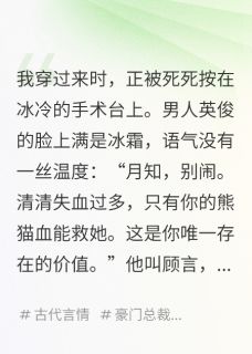 我月老，穿成虐文女主后乱牵红线顾言沈墨尘林清清全章节目录免费阅读