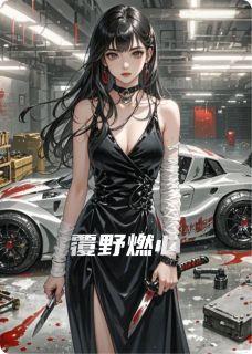 书荒推荐覆野燃心(盛燃迟野沈漆)在线试读