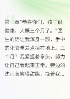 抖音爆款小说老婆出轨怀孕，孩子竟然是我的沈雨萱林昊天李淑华免费txt全文阅读