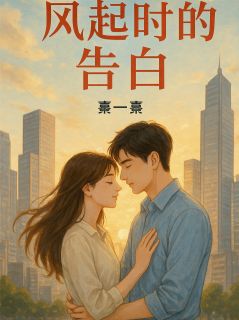 王辰林苏是哪部小说的主角 风起时的告白全文无弹窗