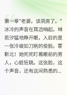 林若汐霍靳北苏晨小说无广告阅读