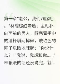 重生新婚夜我撩翻了病娇大佬小说(完结版)-林暖暖顾寒霄在线阅读