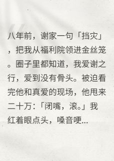 【新书】爱意风逝主角谢之行霍雲全文全章节小说阅读