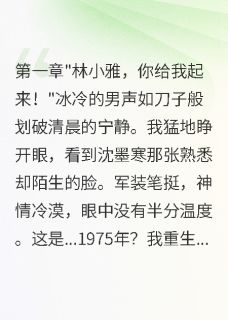 七零重生：首长老公哭着求我回家小说(完结版)-沈墨寒林小在线阅读