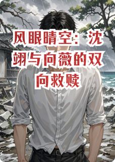 快手沈翊向薇主角的小说全本章节大结局