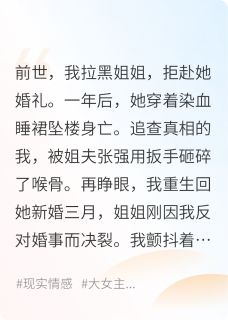 热门推荐姐姐，这次我带你回家by王晏华小说正版在线