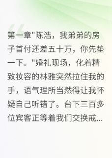 结婚当天被要钱我果断娶新娘闺蜜苏晴林雅陈浩小说完整在线阅读