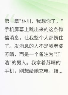 完整版老婆转账五百万给前男友我要离婚苏晴江浩小说免费在线阅读