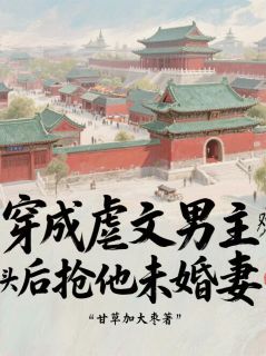 火爆穿成虐文男主死对头后抢他未婚妻小说，主角是江枫苏婉清在线阅读全文无删减