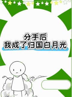 分手后，我成了归国白月光主角是陆恒林婉小说百度云全文完整版阅读